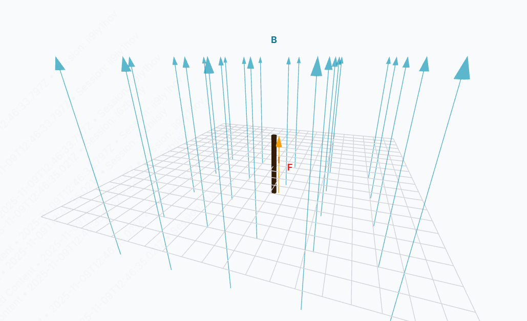 Force on a Straight Wire simulation