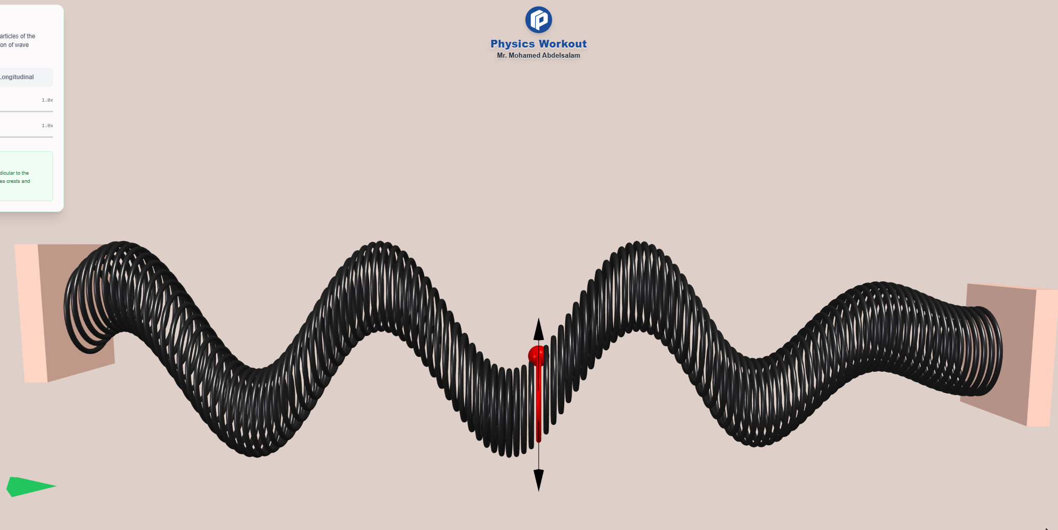 Wave Types in a Spring simulation